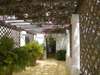 Shela House - Patio 